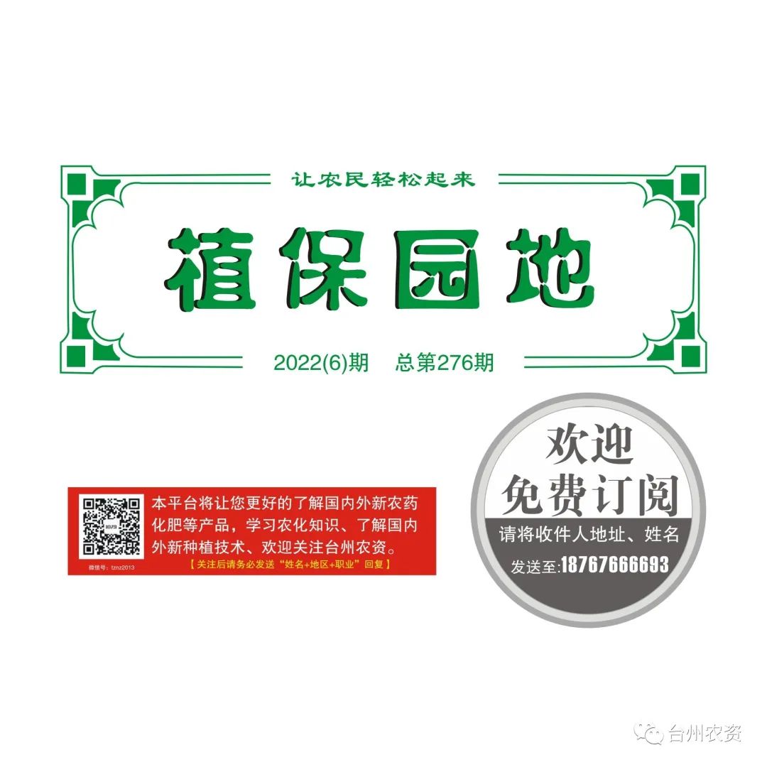 梅雨季節(jié)來臨，柑橘即將穩(wěn)果，注意管理好夏梢，合理施肥打藥